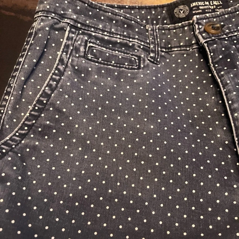American Eagle Vintage Polka Dot Print Men’s 9” Shorts (Size 30)